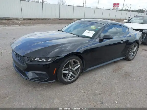 1FA6P8TH7R5134533 2024 FORD MUSTANG - Image 2