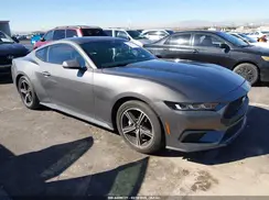 1FA6P8TH7R5137089 2024 FORD MUSTANG