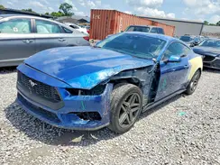 1FA6P8TH7R5137917 2024 FORD MUSTANG