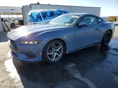 1FA6P8TH7R5138193 2024 FORD MUSTANG
