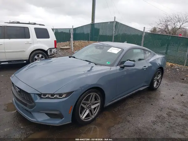 1FA6P8TH7R5139957 2024 FORD MUSTANG - Image 2