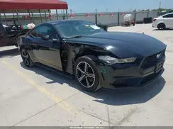 1FA6P8TH7R5140428 2024 FORD MUSTANG