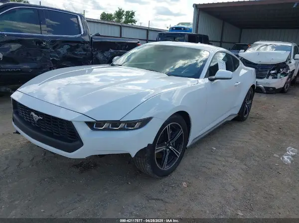 1FA6P8TH7R5149694 2024 FORD MUSTANG - Image 2