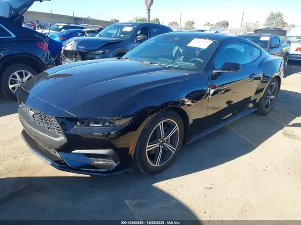 1FA6P8TH7S5125384 2025 FORD MUSTANG - Image 2