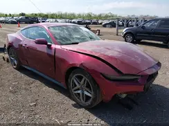 1FA6P8TH7S5132822 2025 FORD MUSTANG