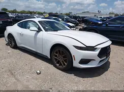 1FA6P8TH7T5113723 2026 FORD MUSTANG