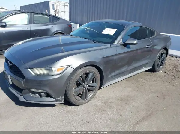 1FA6P8TH8G5220916 2016 FORD MUSTANG - Image 2