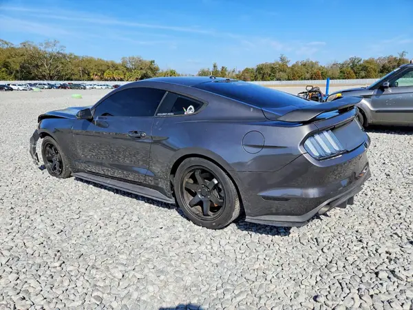 1FA6P8TH8G5281411 2016 FORD MUSTANG - Image 2