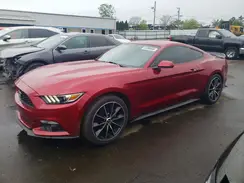 1FA6P8TH8H5227995 2017 FORD MUSTANG