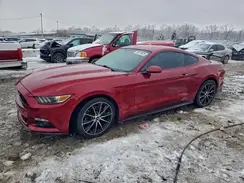 1FA6P8TH8H5239287 2017 FORD MUSTANG