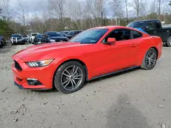 1FA6P8TH8H5255862 2017 FORD MUSTANG