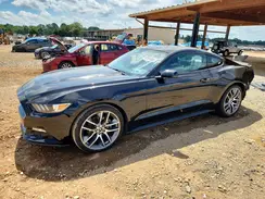 1FA6P8TH8H5294631 2017 FORD MUSTANG