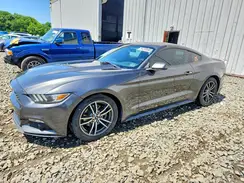 1FA6P8TH8H5295679 2017 FORD MUSTANG
