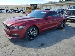1FA6P8TH8H5316661 2017 FORD MUSTANG