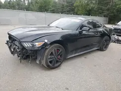 1FA6P8TH8H5319091 2017 FORD MUSTANG