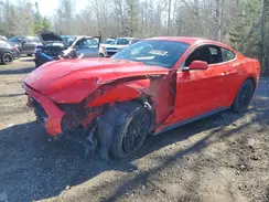 1FA6P8TH8H5321262 2017 FORD MUSTANG