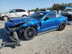 1FA6P8TH8H5335338 2017 FORD MUSTANG