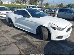 1FA6P8TH8H5344749 2017 FORD MUSTANG