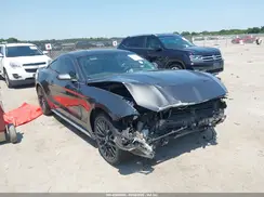1FA6P8TH8J5179081 2018 FORD MUSTANG