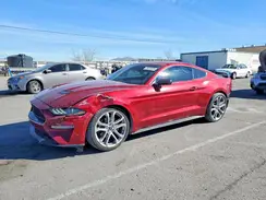 1FA6P8TH8K5101823 2019 FORD MUSTANG