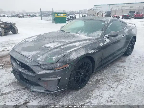 1FA6P8TH8K5102700 2019 FORD MUSTANG - Image 2