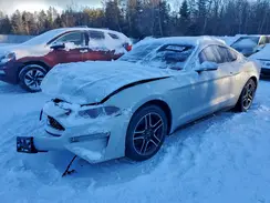 1FA6P8TH8K5104964 2019 FORD MUSTANG