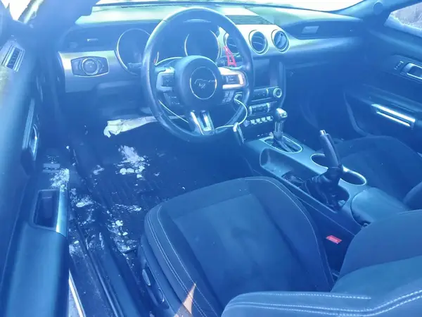 1FA6P8TH8K5104964 2019 FORD MUSTANG - Image 8