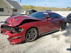 1FA6P8TH8K5108948 2019 FORD MUSTANG