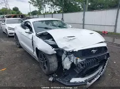 1FA6P8TH8K5110893 2019 FORD MUSTANG