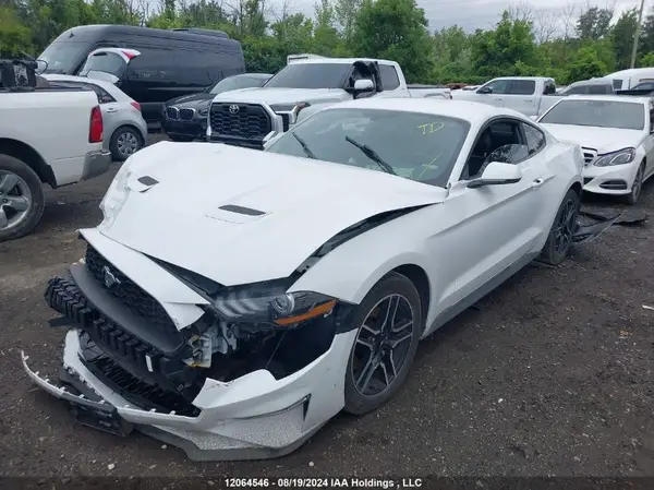 1FA6P8TH8K5110893 2019 FORD MUSTANG - Image 2