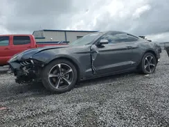 1FA6P8TH8K5111977 2019 FORD MUSTANG