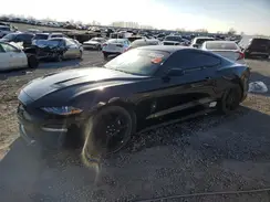 1FA6P8TH8K5114538 2019 FORD MUSTANG