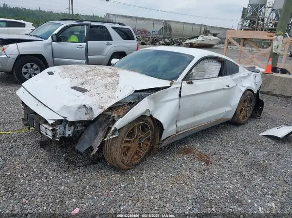 1FA6P8TH8K5114605 2019 FORD MUSTANG - Image 2