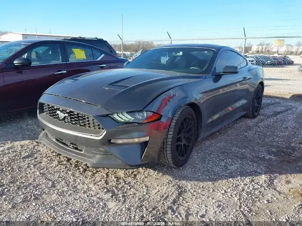 1FA6P8TH8K5115253 2019 FORD MUSTANG - Image 2