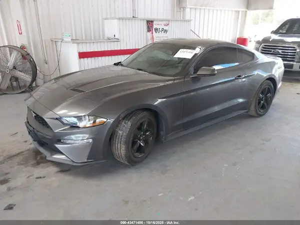 1FA6P8TH8K5118198 2019 FORD MUSTANG - Image 2