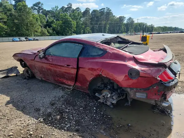 1FA6P8TH8K5129363 2019 FORD MUSTANG - Image 2