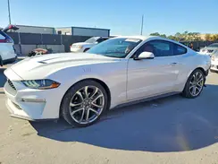 1FA6P8TH8K5129668 2019 FORD MUSTANG