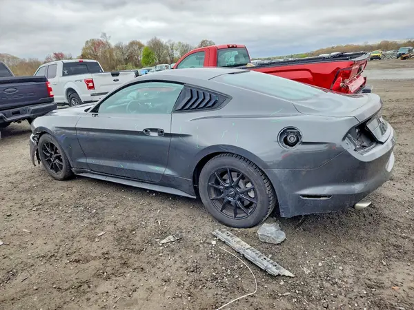 1FA6P8TH8K5131954 2019 FORD MUSTANG - Image 2