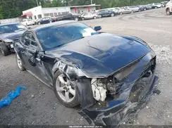 1FA6P8TH8K5132182 2019 FORD MUSTANG