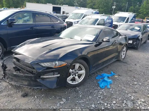 1FA6P8TH8K5132182 2019 FORD MUSTANG - Image 2
