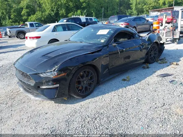 1FA6P8TH8K5133624 2019 FORD MUSTANG - Image 2
