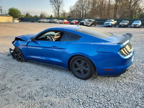 1FA6P8TH8K5134210 2019 FORD MUSTANG - Image 2