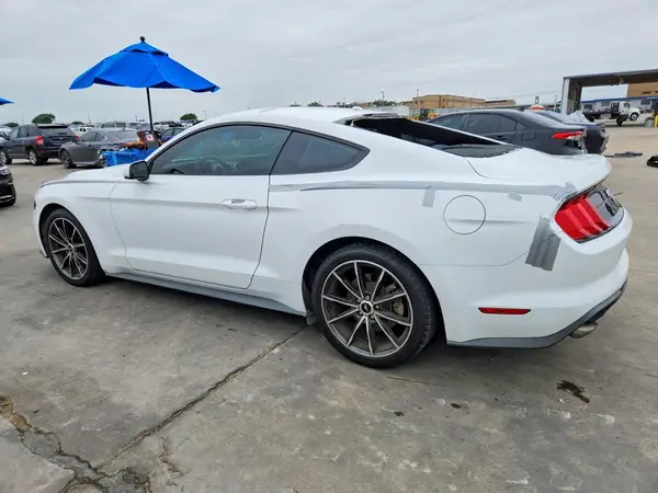 1FA6P8TH8K5134577 2019 FORD MUSTANG - Image 2
