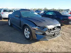 1FA6P8TH8K5135096 2019 FORD MUSTANG