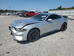 1FA6P8TH8K5139438 2019 FORD MUSTANG