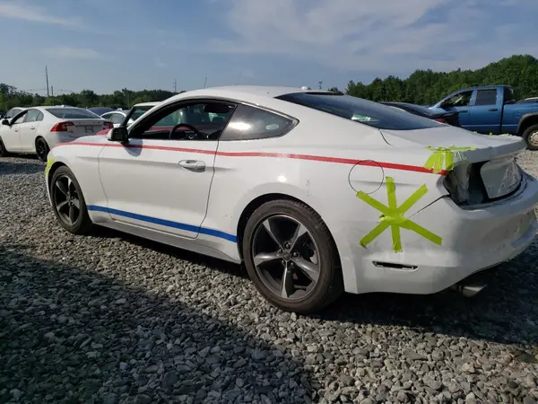1FA6P8TH8K5141125 2019 FORD MUSTANG - Image 2