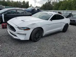 1FA6P8TH8K5146874 2019 FORD MUSTANG