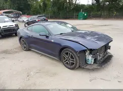 1FA6P8TH8K5163318 2019 FORD MUSTANG