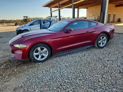1FA6P8TH8K5166364 2019 FORD MUSTANG