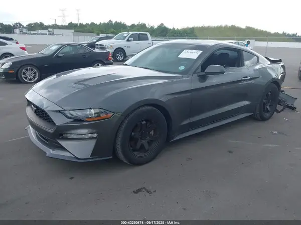 1FA6P8TH8K5166963 2019 FORD MUSTANG - Image 2